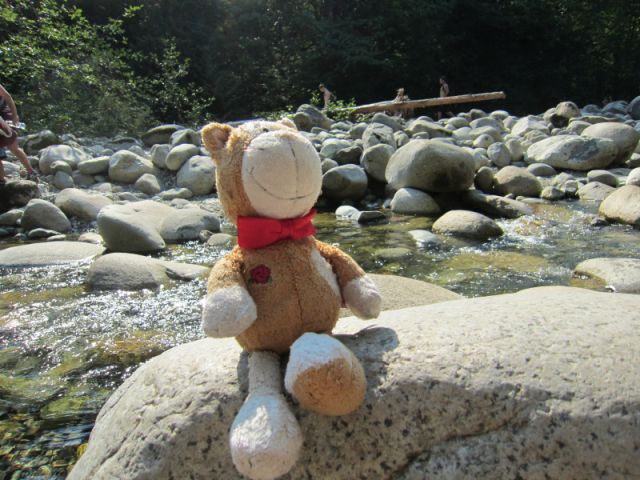 Chester_on_stone